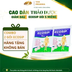 (HÀNG TẶNG KHÔNG BÁN) Cao dán thảo dược ECOSIP gói 5 miếng