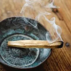 [TLH] 1 thanh Gỗ Palo Santo - Gỗ Trắc Xanh xông nhà thanh lọc, thơm nhà, xông phòng Decor Thơm Phòng Dầu Thơm - Trang Trí, Decor Phòng Dầu Thơm Phòng