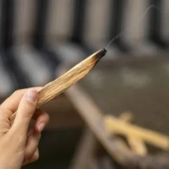 [TLH] 1 thanh Gỗ Palo Santo - Gỗ Trắc Xanh xông nhà thanh lọc, thơm nhà, xông phòng Decor Thơm Phòng Dầu Thơm - Trang Trí, Decor Phòng Dầu Thơm Phòng