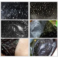 Gel lột Mụn Than Tre - Bamboo Charcoal  Sạch mụn - Thải độc chì- Sáng da 70g 793009