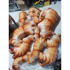 Gối ôm 3D hình mèo mướp màu cam (gối ôm thú bông) size 60cm