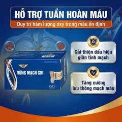 Viên uống giúp giảm nguy cơ suy tĩnh mạch, tăng tính bền thành mạch Vững Mạch Chi Kingphar (6 vỉ x 10 viên)