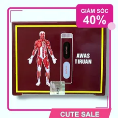Đẳng Cấp Đẳng Cấp Viên Uống Đau Nhức Xương Khớp Xanh Professor's Pill - Hỗ Trợ Sức Khỏe Khớp Từ Malaysia, Hộp 20 Ống - Mã 1470 Đẳng Cấp Phiên Bản Mới Hàng Tuyển