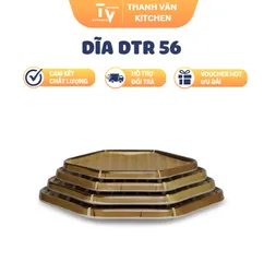Dĩa DTR 56 (TV1603)