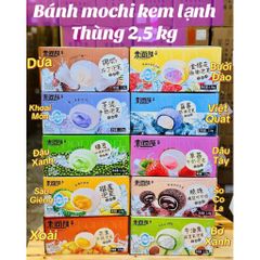 🍡 bánh mochi kem lạnh thùng 2.5kg – thơm ngon, mát lạnh, nhiều vị hấp dẫn