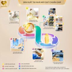 COMBO [2 HỘP] VIÊN UỐNG YẾN SÀO NEST BEAUTY HỖ TRỢ NGĂN NGỪA LÃO HÓA - YẾN SÀO 9.000MG, NMN 16.200MG 794152