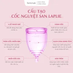 Cốc nguyệt san Nhật Bản cho người lượng kinh nhiều Feminak Laplie XL