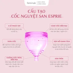 Cốc nguyệt san Nhật Bản - Cho người cổ tử cung thấp Feminak Esprie L