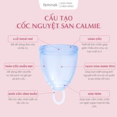 Cốc nguyệt san Nhật Bản siêu mềm, dễ dàng sử dụng Feminak Calmie