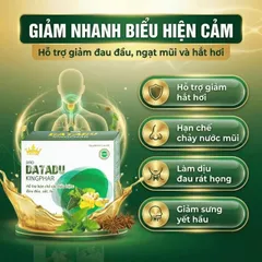 Siro hỗ trợ hạn chế đau đầu sốt ho Datadu Kingphar (4 vỉ x 5 ống x 10ml)