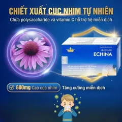 Viên uống hỗ trợ tăng cường sức đề kháng, giúp giảm nguy cơ cảm cúm, viêm họng Echina Kingphar (3 vỉ x 10 viên)