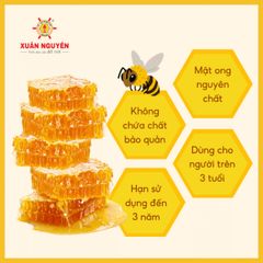MẬT ONG RỪNG TÂY NGUYÊN XUÂN NGUYÊN
