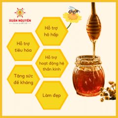 MẬT ONG RỪNG TÂY NGUYÊN XUÂN NGUYÊN