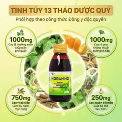 Siro giúp bổ phế, hạn chế ho nhiều, loãng đờm, giảm đau rát họng do ho Nopanho Kingphar (125ml)