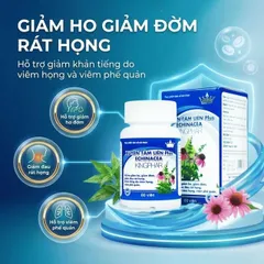 Viên uống hỗ trợ giảm ho, giảm đờm, giảm đau rát họng Xuyênn Tâmm Liên Plus Echinacea Kingphar (60 viên)