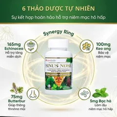 Viên uống hỗ trợ cải thiện viêm xoang, viêm mũi dị ứng, tăng cường sức khỏe đường hô hấp Sinus Nose Vitamins For Life (60 viên)