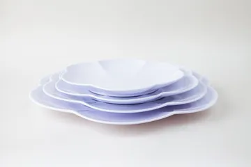 DĨA DH 137 Cao Cấp (TH634)