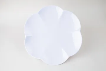 DĨA DH 137 Cao Cấp (TH634)