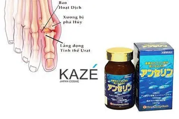 Viên Uống Giảm GÚT Anserine Minami 240 Viên – Hỗ Trợ Duy Trì Acid Uric Ổn Định, Chăm Sóc Sức Khỏe Xương Khớp
