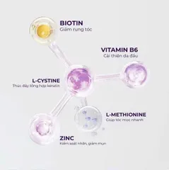 Viên Uống Cystine Plus 60 Viên Hỗ Trợ Ngăn Ngừa Rụng Tóc và Đẹp Da [hàng nhập khẩu]