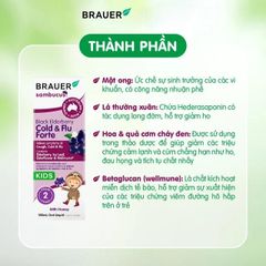 Siro hỗ trợ giảm các triệuu chứngg ho sổ mũi do cảm Black ElderBerry Cold And Flu Forte (100ml)