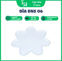 DĨA DNS 06 (TH644)