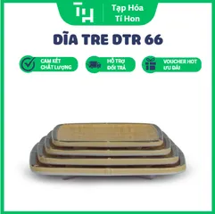 DĨA TRE DTR 66 (TH653)