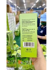 trà kim tiền thảo râu mèo nhà mộc tâm 