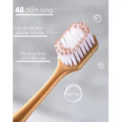 Set 6 bàn chải đình đám hàng chuẩn AUTH