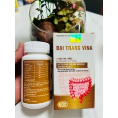 Đại Tràng Vina Hỗ Trợ Giảm Các Biểu Hiện Viêm Đại Tràng 795358
