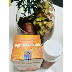 Đại Tràng Vina Hỗ Trợ Giảm Các Biểu Hiện Viêm Đại Tràng 795358