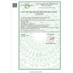 Đại Tràng Vina Hỗ Trợ Giảm Các Biểu Hiện Viêm Đại Tràng 795358
