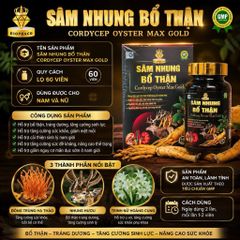 Sâm Nhung Bổ Thận Cordycep Oyster Max Gold – Hỗ trợ bổ thận, tăng sinh lực, giảm tiểu đêm, mệt mỏi 795377