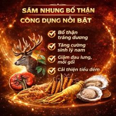Sâm Nhung Bổ Thận Cordycep Oyster Max Gold – Hỗ trợ bổ thận, tăng sinh lực, giảm tiểu đêm, mệt mỏi 795377