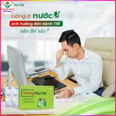 TriStop Hữu Việt Hỗ Trợ Người Bệnh Trĩ, Tăng Sức Bền Thành Mạch, Cải Thiện Sa Búi Trĩ - Hộp30 Viên