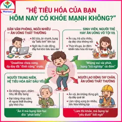 Đại Tràng Nam Dược Giúp Giảm Các Triệu Chứng Rối Loạn Tiêu Hóa, Tiêu Chảy, Đau Bụng - Hộp 30 Viên