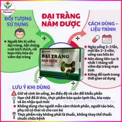 Đại Tràng Nam Dược Giúp Giảm Các Triệu Chứng Rối Loạn Tiêu Hóa, Tiêu Chảy, Đau Bụng - Hộp 30 Viên