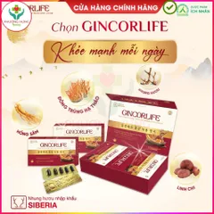 Viên Uống Gincorlife Của Ích Nhân Tăng Cường Sức Khỏe,Đề Kháng,Giúp Ăn Ngon,Giảm Mệt Mỏi-Hộp 60V