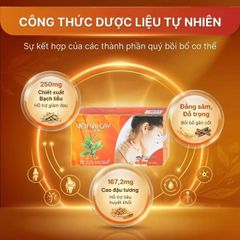 Giúp tăng lưu thông khí huyết Viên Vai Gáy Thái Dương (2 vỉ x 15 viên)