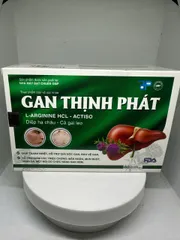 GAN THỊNH PHÁT – Giải pháp bảo vệ và thanh lọc gan