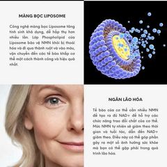 (HÀNG MỸ CHÍNH HÃNG) VIÊN UỐNG LIPOSOMAL