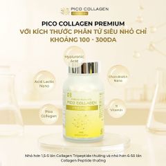 PICO COLLAGEN PREMIUM 150 Viên Nhật Bản – Bổ Sung Collagen, Hỗ Trợ Làm Đẹp Da, Duy Trì Độ Đàn Hồi