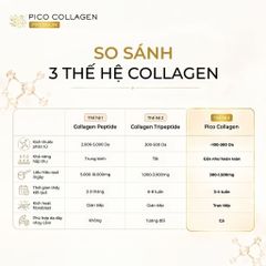 PICO COLLAGEN PREMIUM 150 Viên Nhật Bản – Bổ Sung Collagen, Hỗ Trợ Làm Đẹp Da, Duy Trì Độ Đàn Hồi