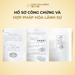 PICO COLLAGEN PREMIUM 150 Viên Nhật Bản – Bổ Sung Collagen, Hỗ Trợ Làm Đẹp Da, Duy Trì Độ Đàn Hồi