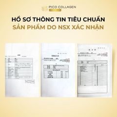 PICO COLLAGEN PREMIUM 150 Viên Nhật Bản – Bổ Sung Collagen, Hỗ Trợ Làm Đẹp Da, Duy Trì Độ Đàn Hồi