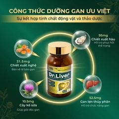 Viên uống bổ gan tăng cường giải độc gan Dr. Liver Jpanwell (60 viên)