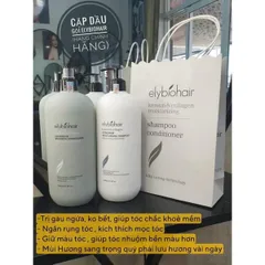 Dầu gội xả Elybiohair