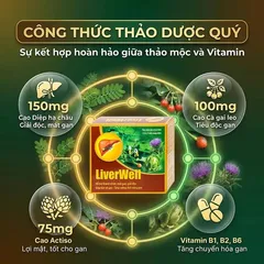 Viên uống hỗ trợ thanh nhiệt, mát gan, giải độc, bảo vệ gan LiverWell (12 vỉ x 5 viên)