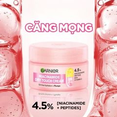 Kem Dưỡng Căng Mọng Da Garnier Niacinamide Dry Touch Cream 30ml [hàng nhập khẩu]