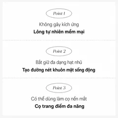CỌ TRANG ĐIỂM PICCASSO 13 HIGHLIGHTER 